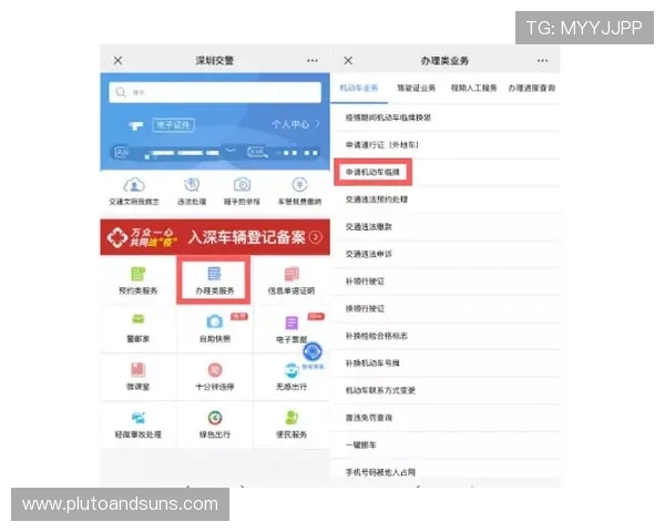 新手必看：MG地址登录入口的使用技巧与注意事项